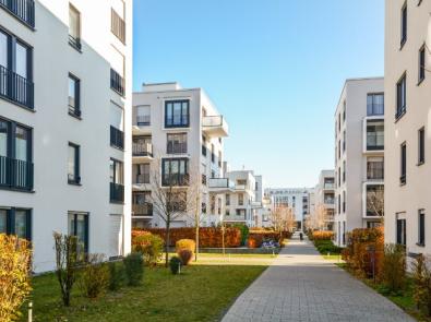 A walkway between buildings with bushes and grass